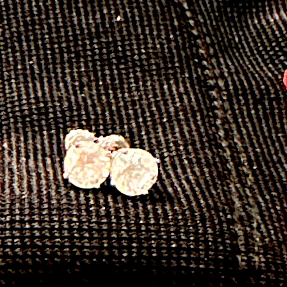 1 carat Diamond studs